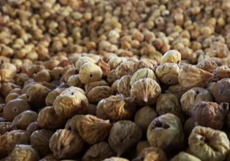 تصویر 3 از قیمت خرید انجیر خرمایی + فروش ویژه
